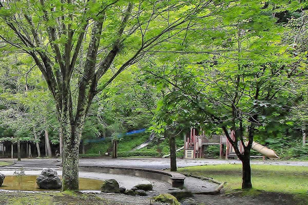 さかな公園 1
