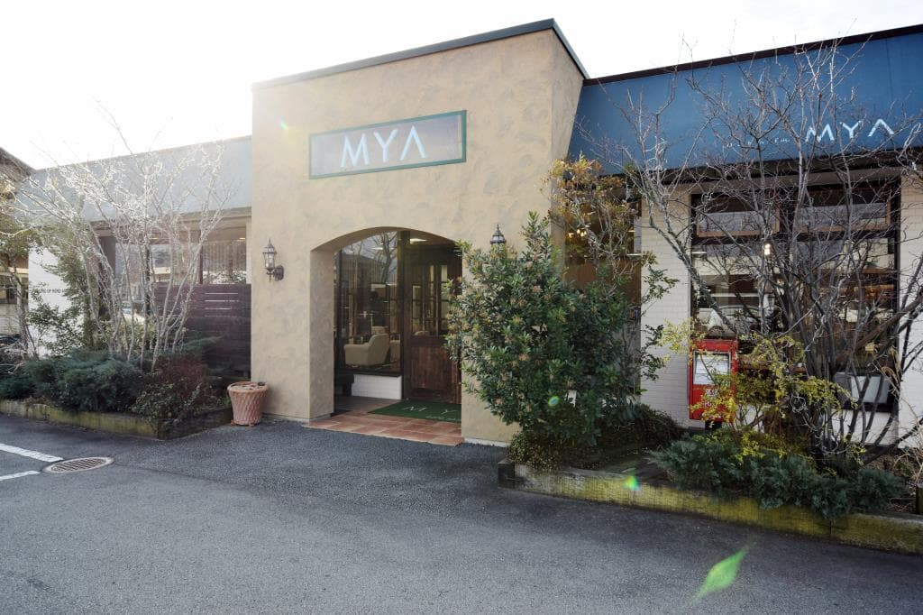 MYA Ryuo 1