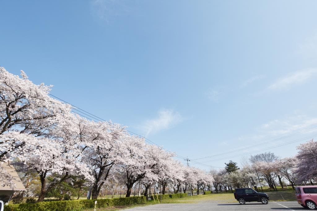御勅使公園 5