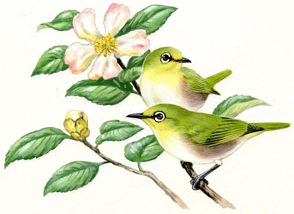 薮内正幸美術館 4