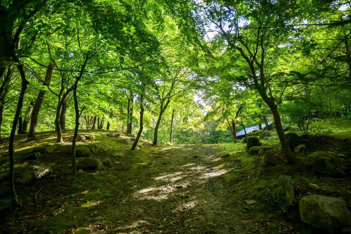 白州・尾白の森名水公園べるが 11