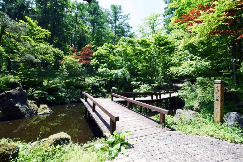 山中湖 文学の森公園 2