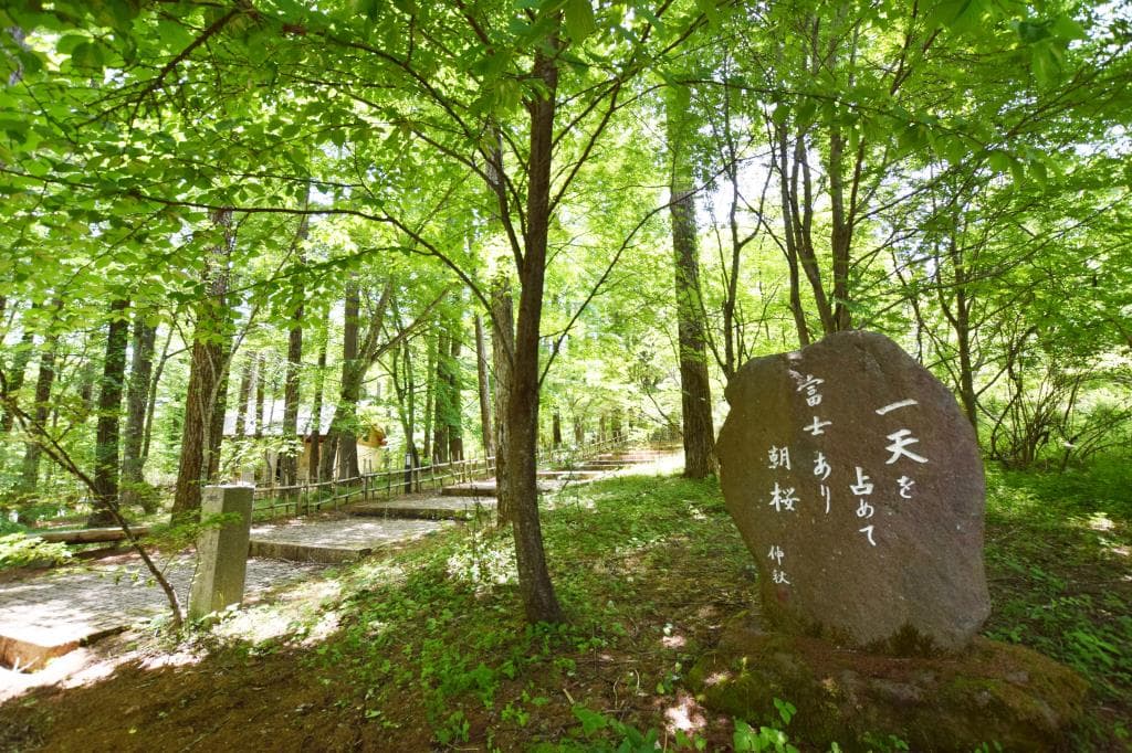 山中湖 文学の森公園 3