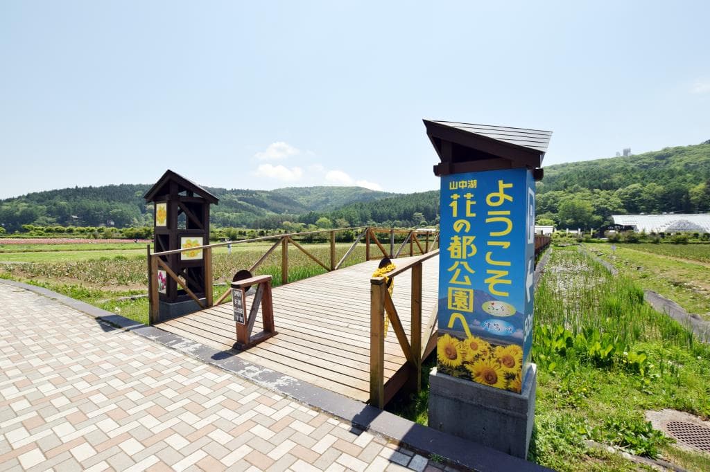 山中湖 花の都公園 1