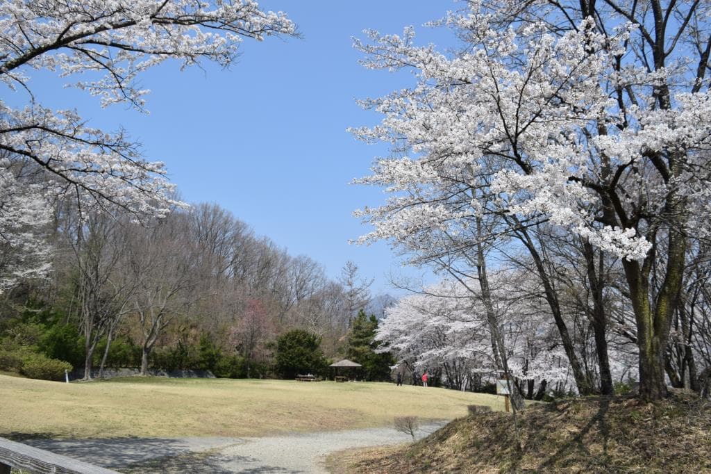 武田の杜 3