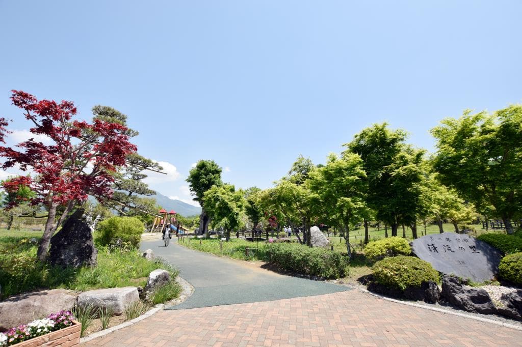 山中湖 花の都公園 5