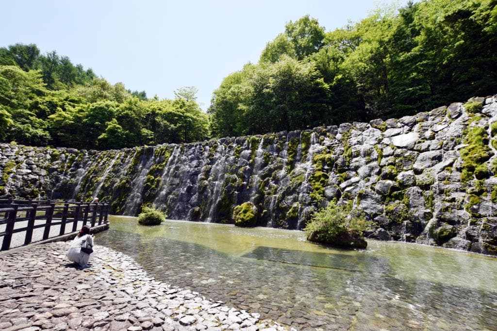 山中湖 花の都公園 4