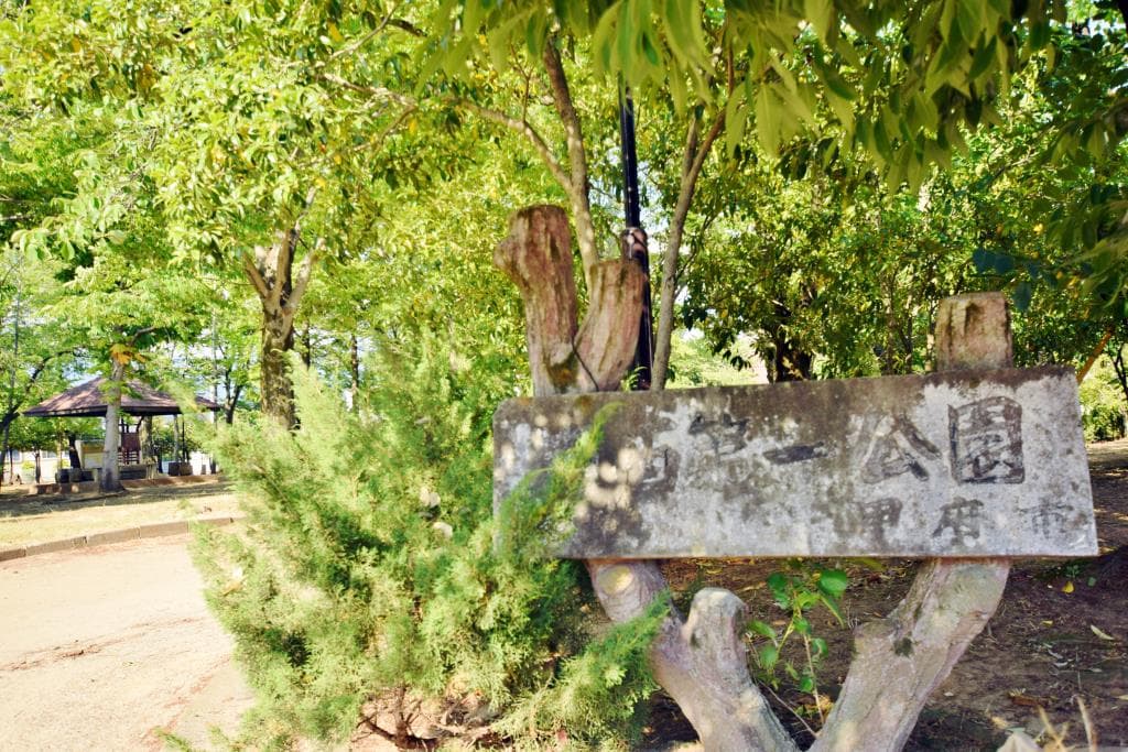 南西第一公園 1
