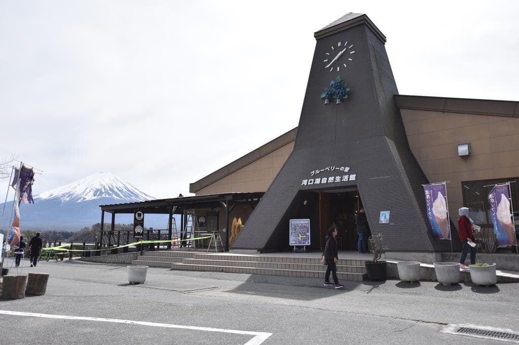 河口湖自然生活館 1