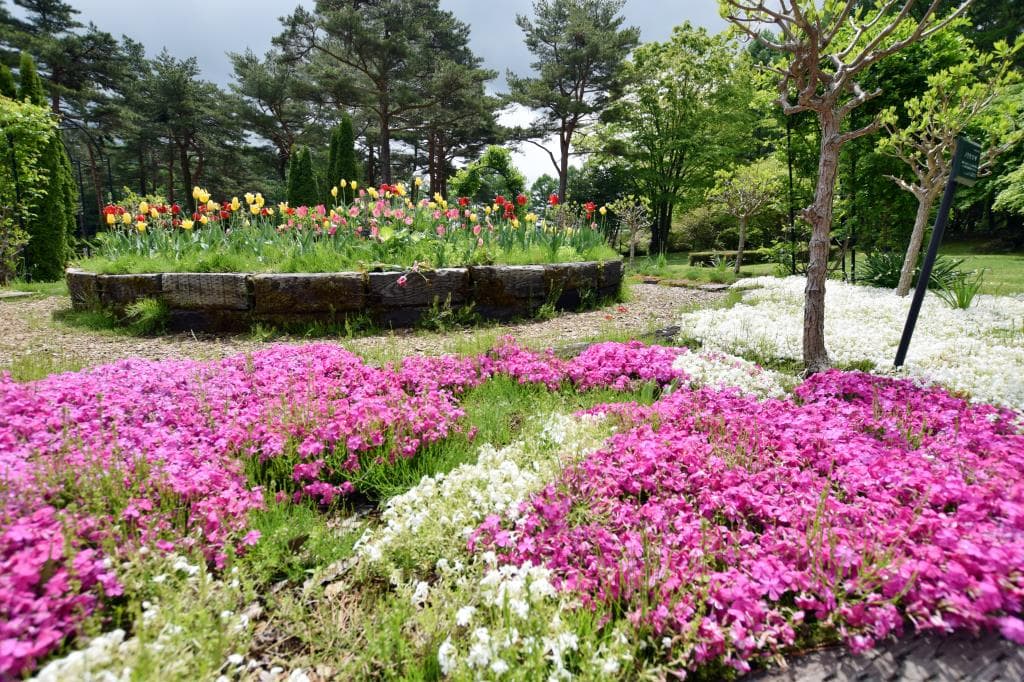 恩賜林庭園 4