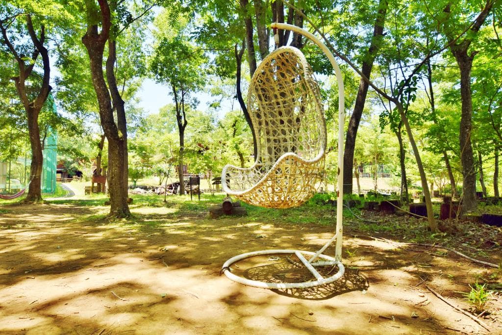 オオムラサキ自然公園 3