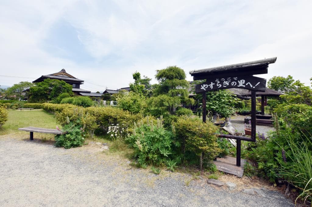 菖蒲池公園