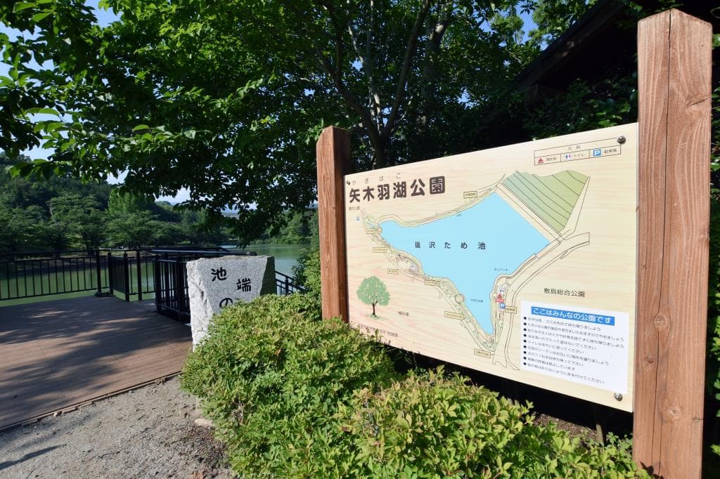 矢木羽湖公園 1