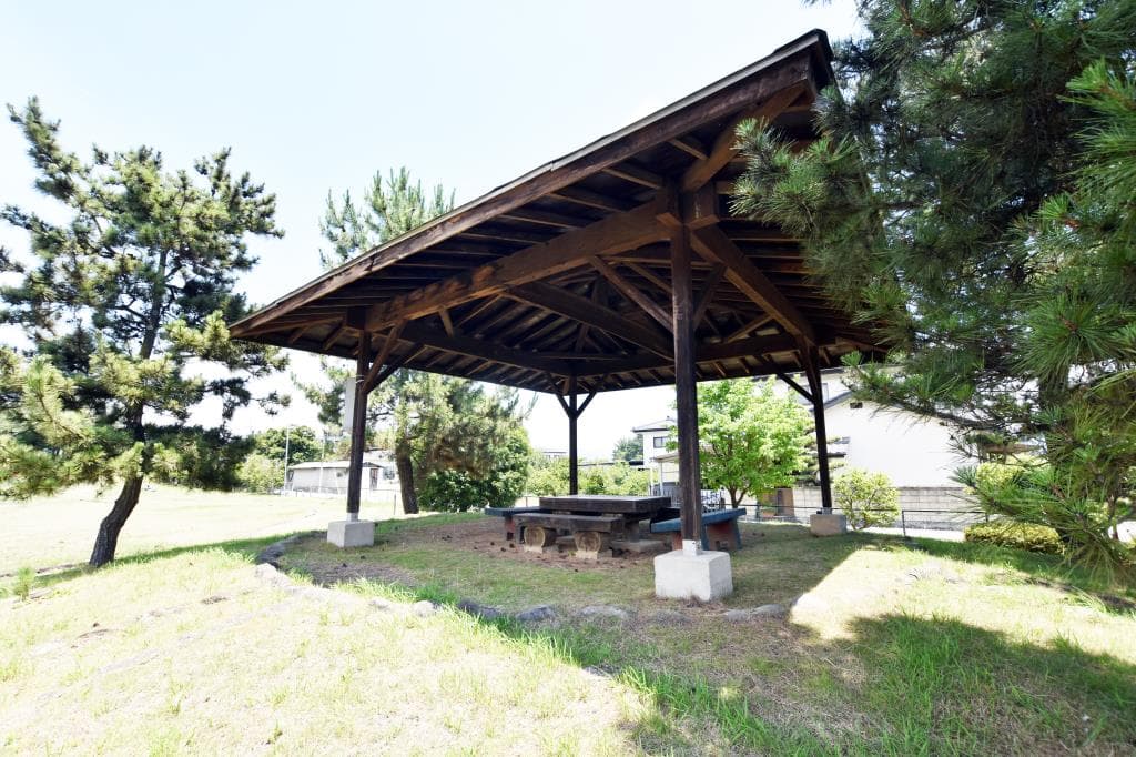 坪川公園 5