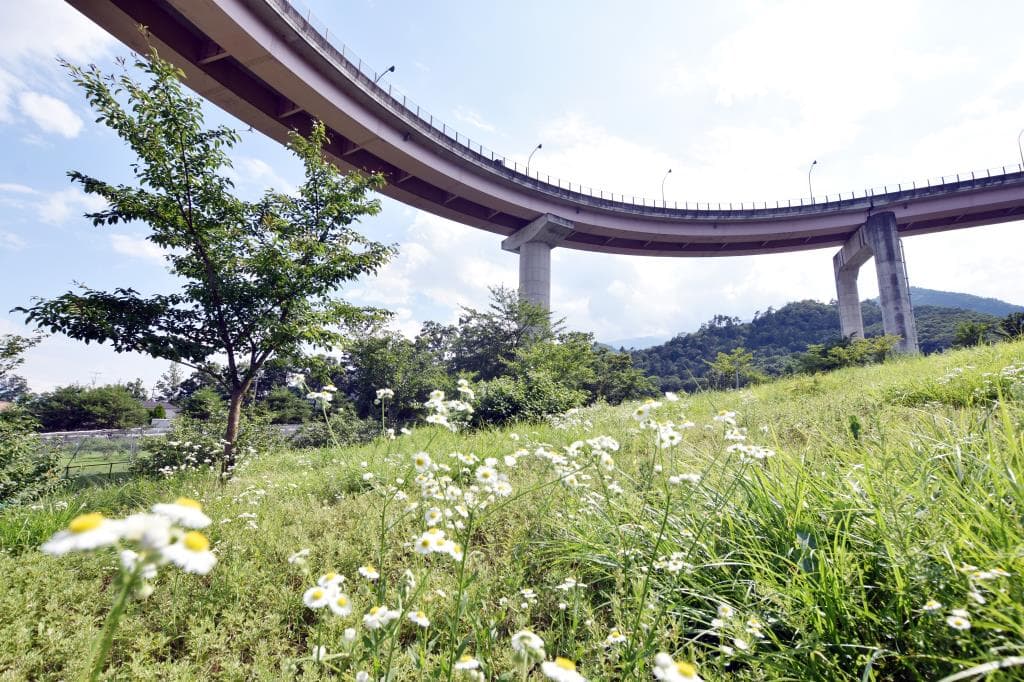 桃花橋公園 1