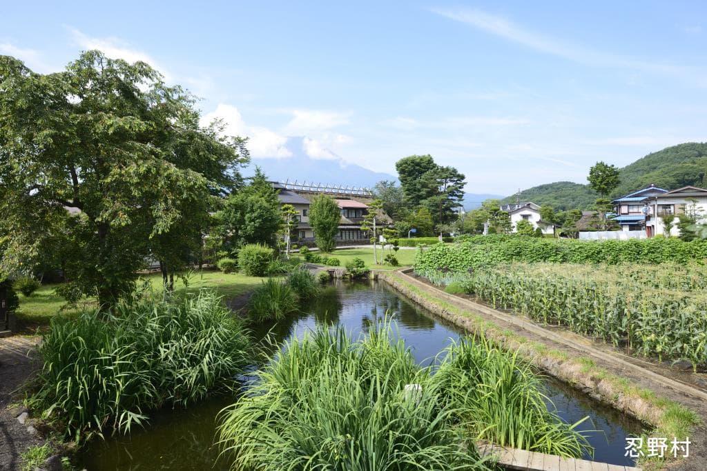 忍野八海 2