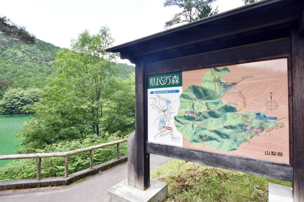 県民の森 1