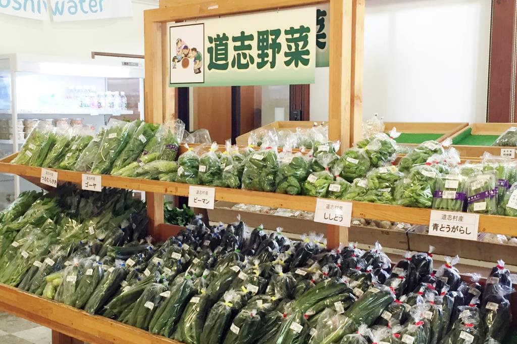 道の駅 どうし 4