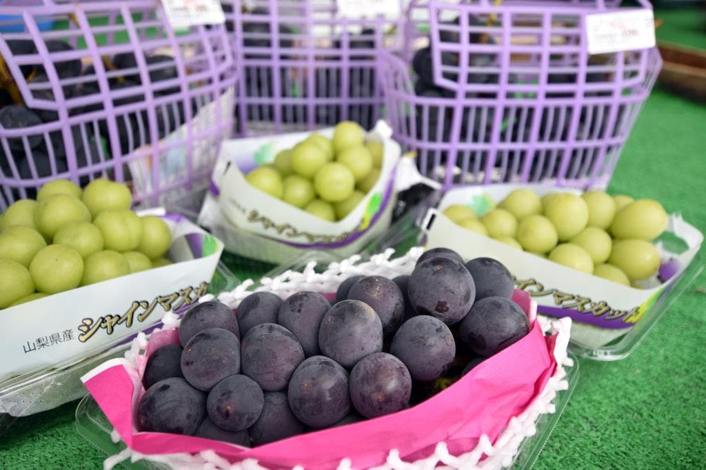 道の駅 花かげの郷まきおか 2