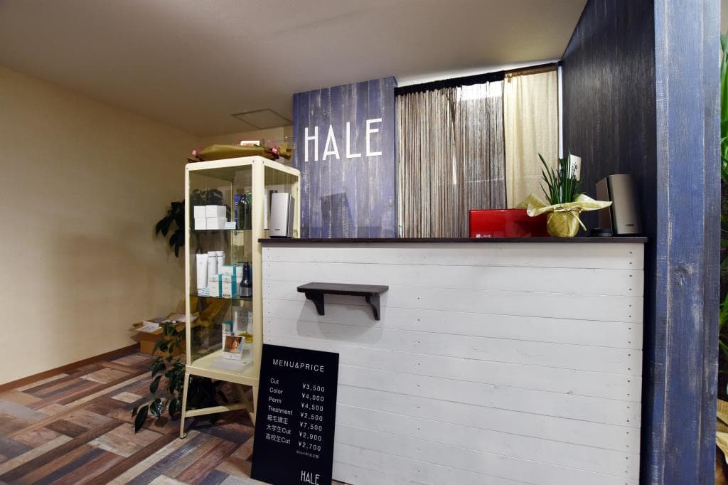 HALE 3