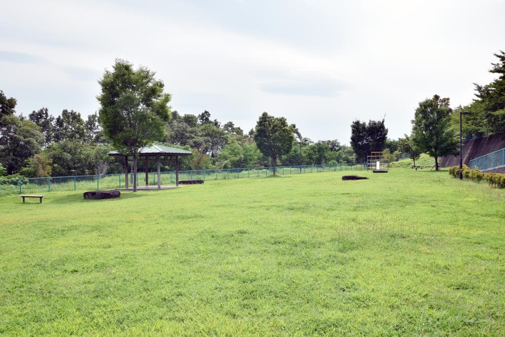 双葉スポーツ公園 5