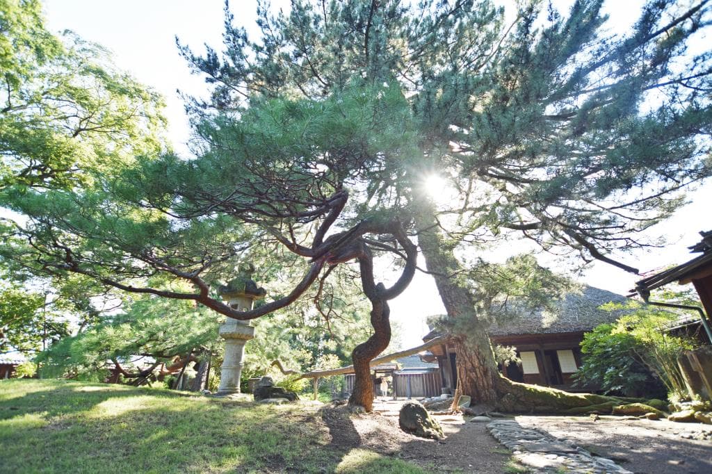 安藤家住宅 4