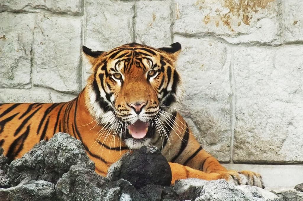 甲府市遊亀公園附属動物園 4