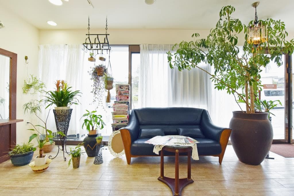 WHISP resort 5