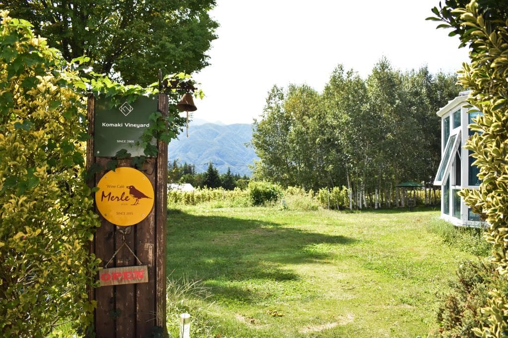 Wine Café Merle 3