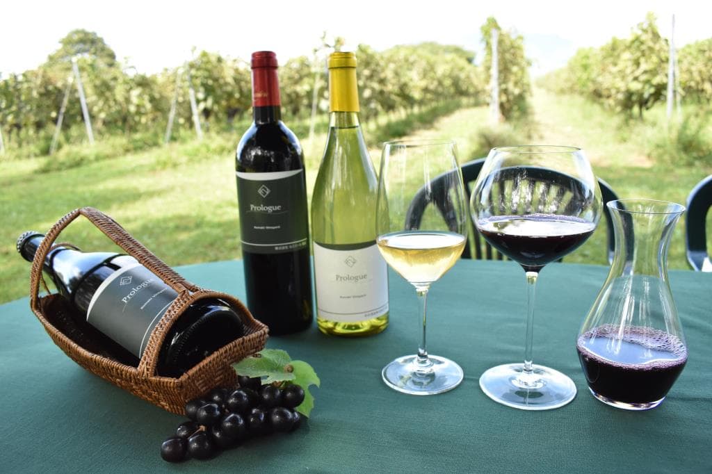 Wine Café Merle 1