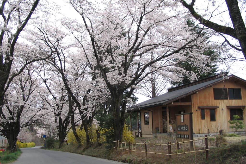 かたかご 5