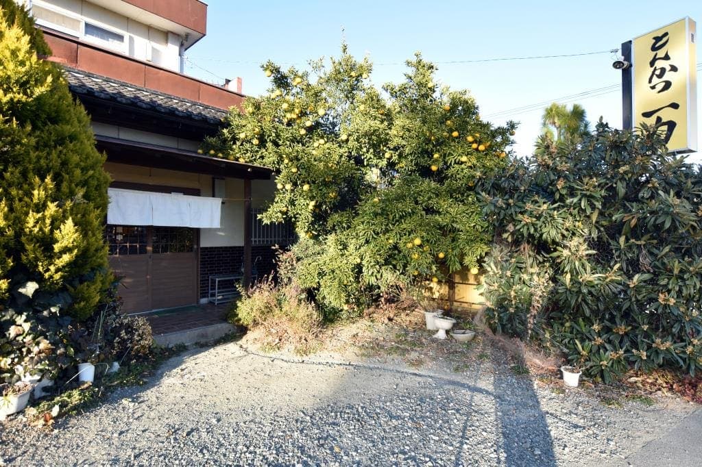 とんかつ一力 5