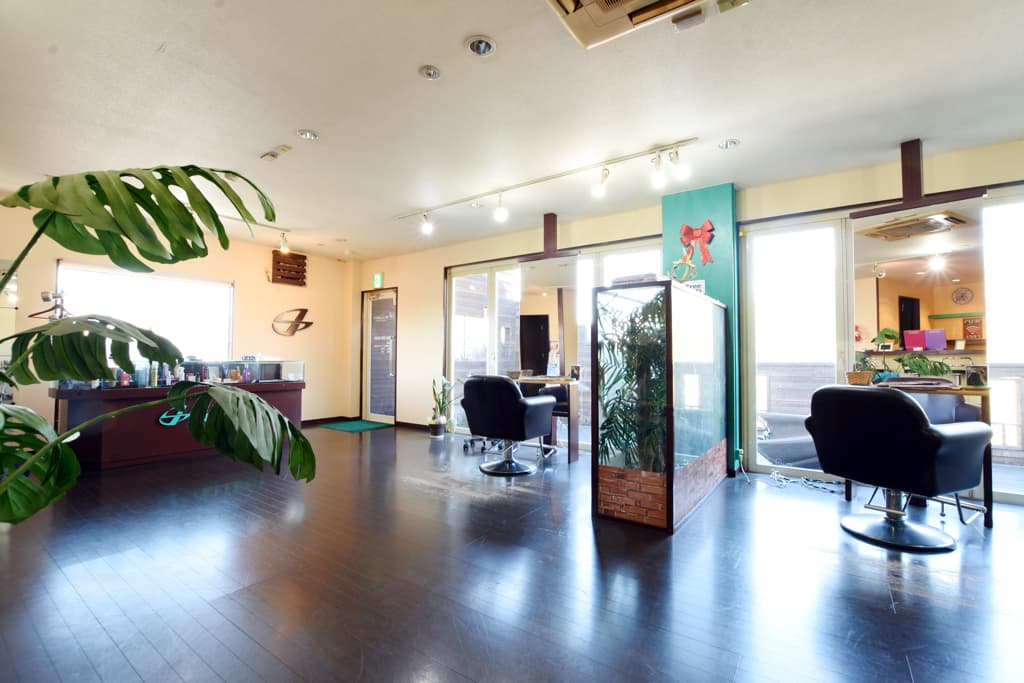 Hair ALLURE+ Quality & Creative 5