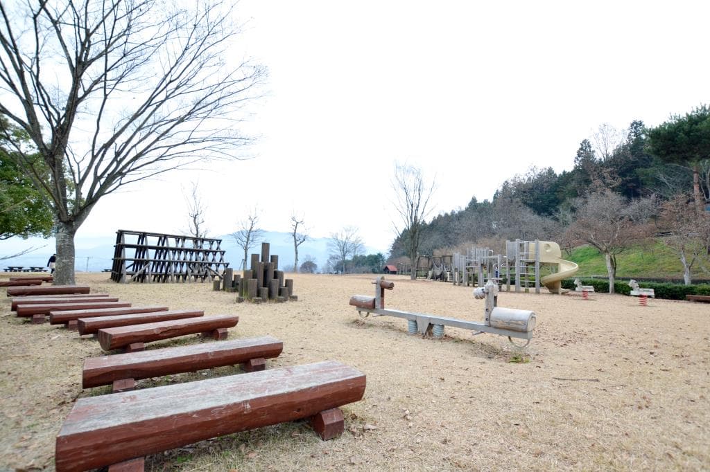 山梨県森林総合研究所 芝生広場 1