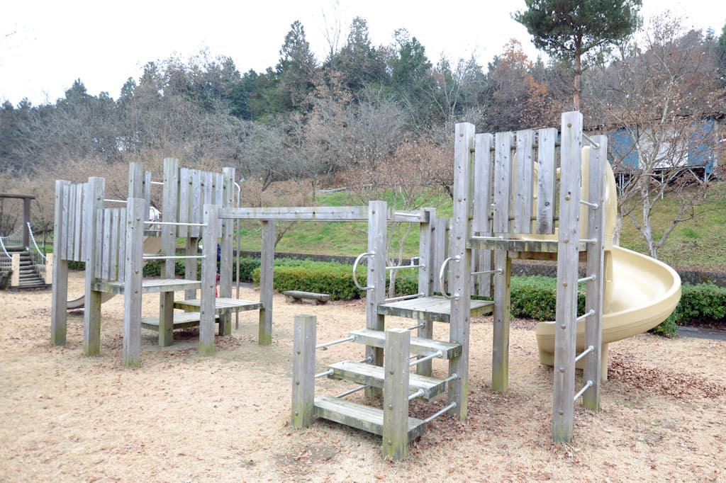 山梨県森林総合研究所 芝生広場 3