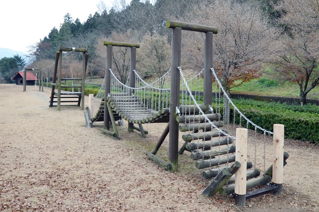 山梨県森林総合研究所 芝生広場 2