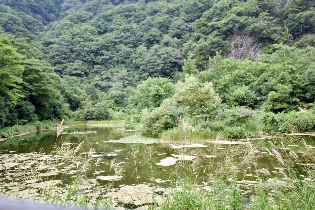 南アルプス邑野鳥公園 2