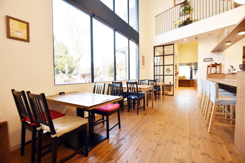 Café Camel 4