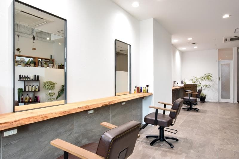 SOPO hairworks 2