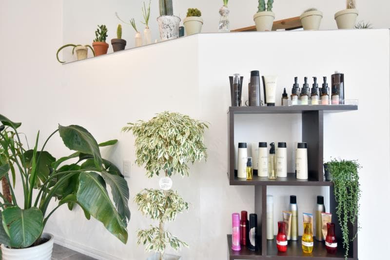 SOPO hairworks 5