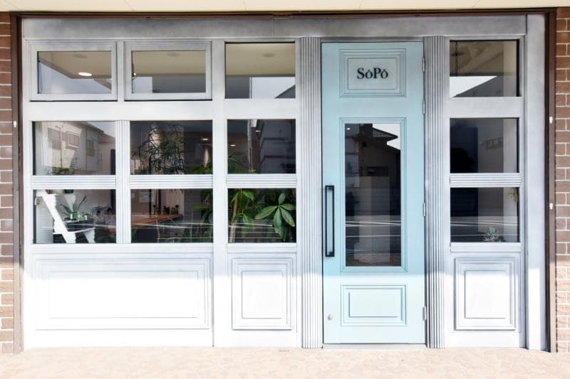 SOPO hairworks 1