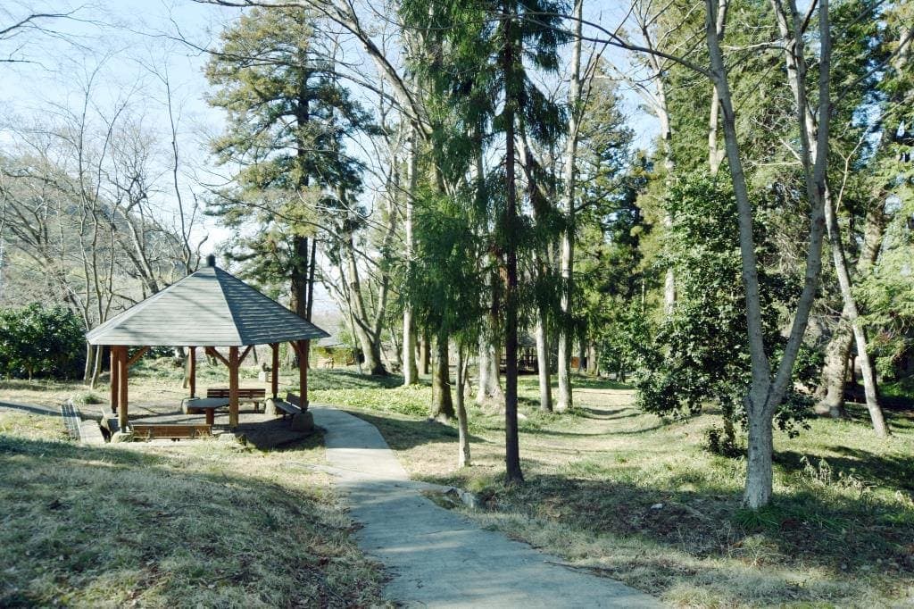 藤垈の滝 大窪いやしの杜公園 4