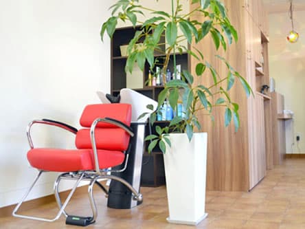 hairstyling La Cruz 3