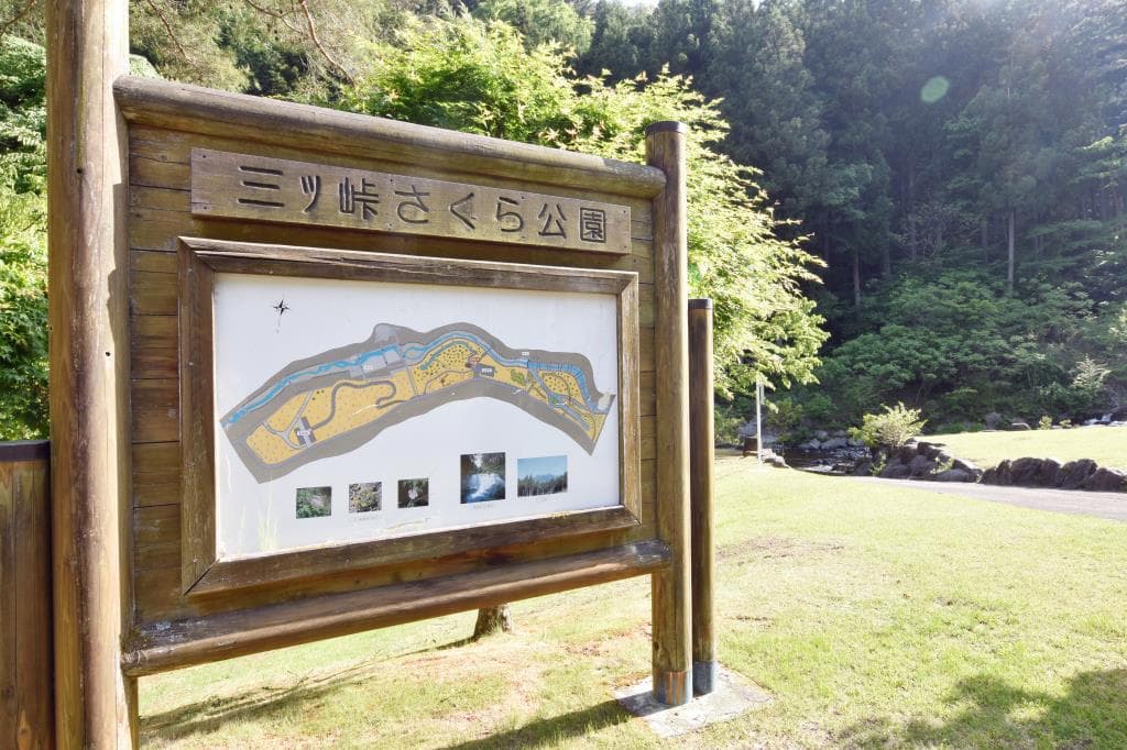 三ツ峠さくら公園 1