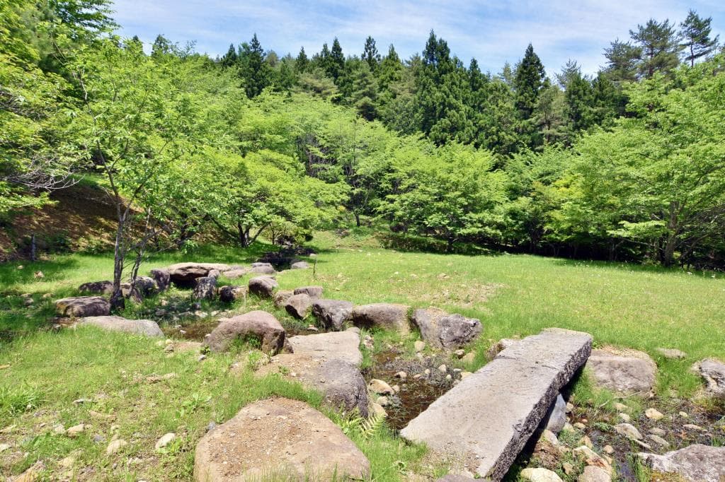 憩の森公園 1
