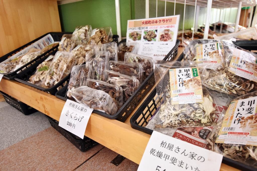 やまと天目山温泉 5