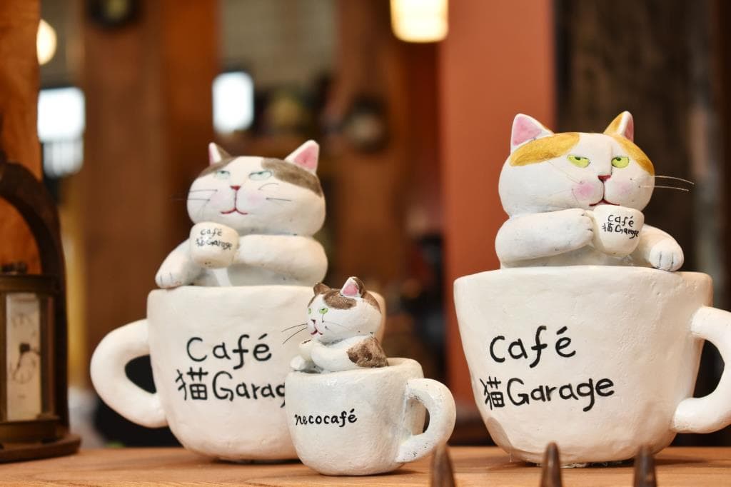 猫Garage 5