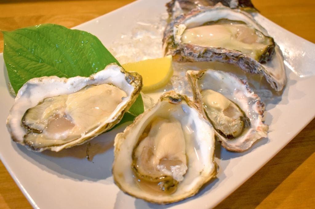 Cozycita八ヶ岳 1