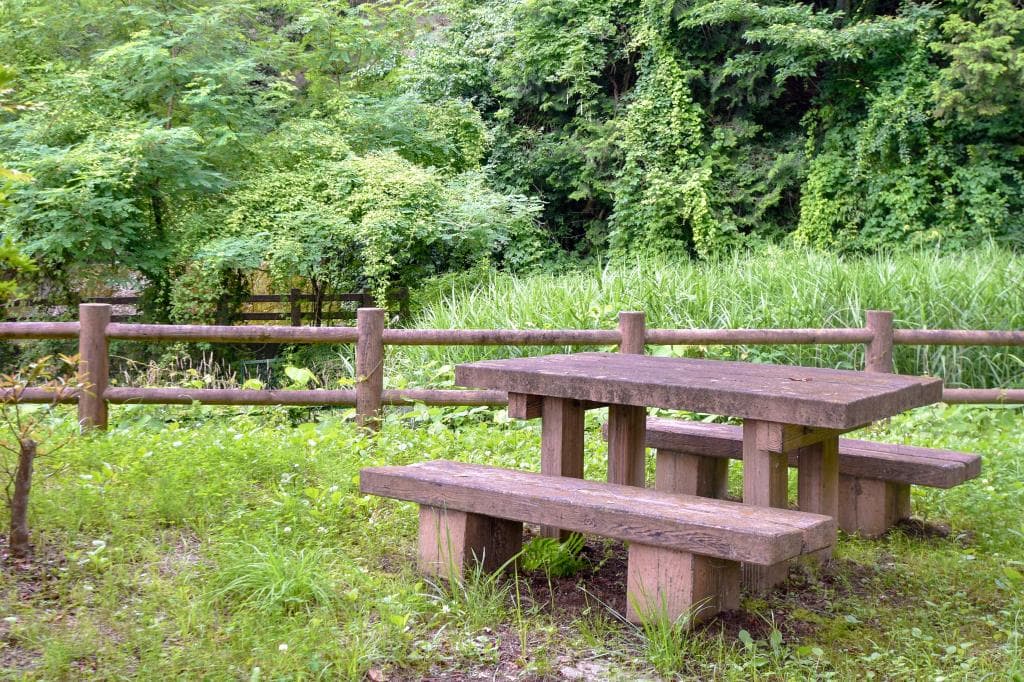 大和スポーツ公園 4