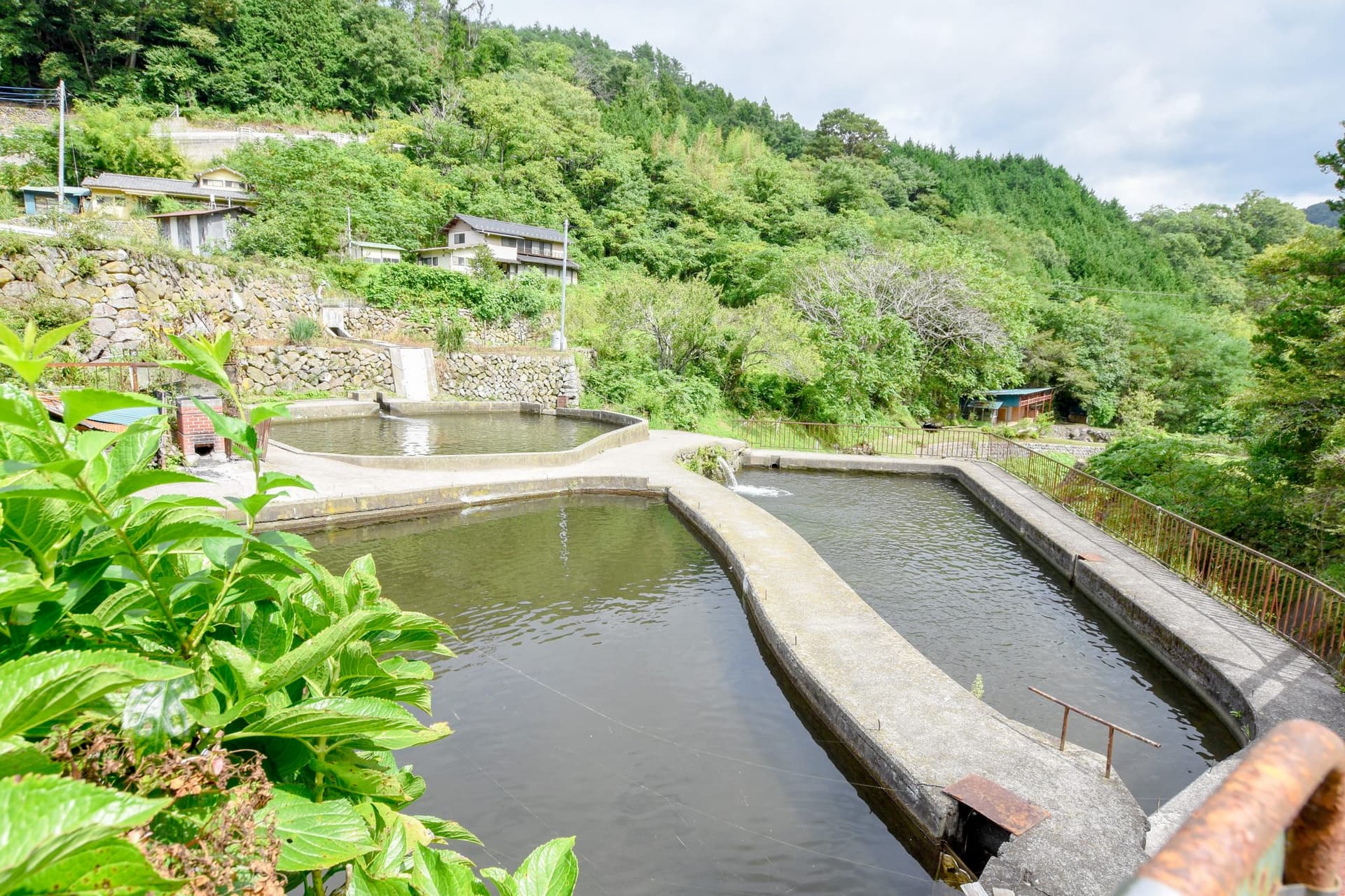 清川釣り堀 2